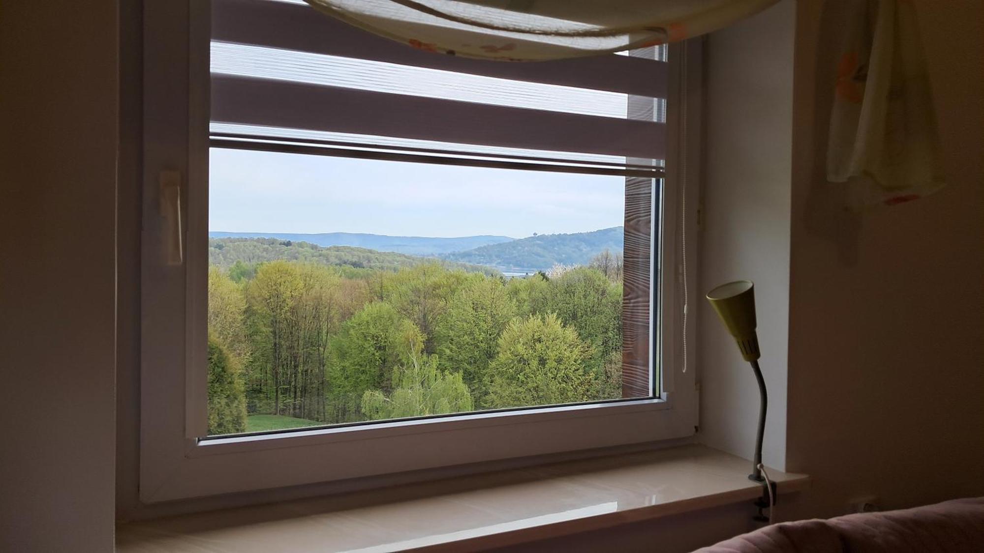 Lisc Klonu Apartment Polanczyk Bagian luar foto